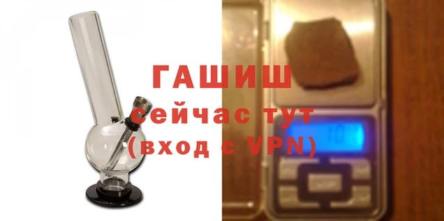 ПСИЛОЦИБИНОВЫЕ ГРИБЫ Магас