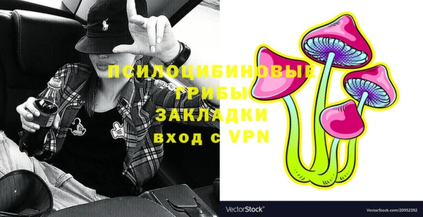 ПСИЛОЦИБИНОВЫЕ ГРИБЫ Магас