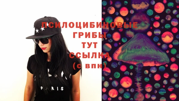 ПСИЛОЦИБИНОВЫЕ ГРИБЫ Магас