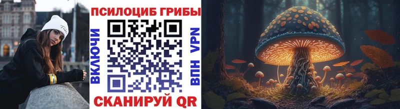 Купить где  Якутск  Псилоцибиновые грибы прущие грибы 